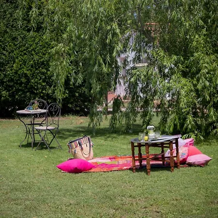 Boutique Rancho Lobos Otel