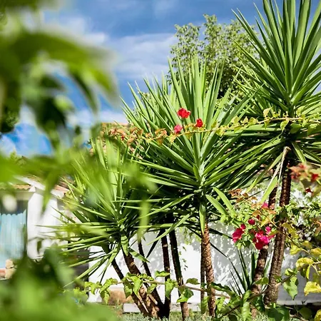 Boutique Rancho Lobos Otel 3*